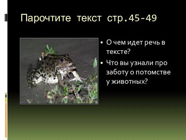 Парочтите текст стр.45-49 О чем идет речь в тексте? Что вы