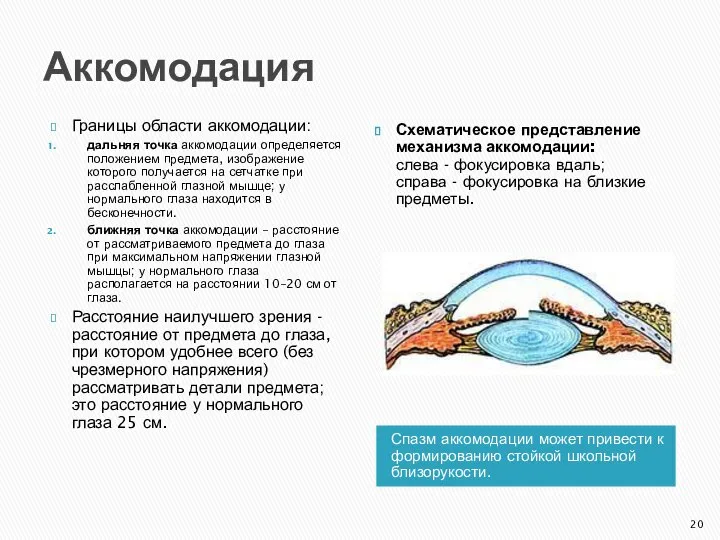 Аккомодация Спазм аккомодации может привести к формированию стойкой школьной близорукости. Границы