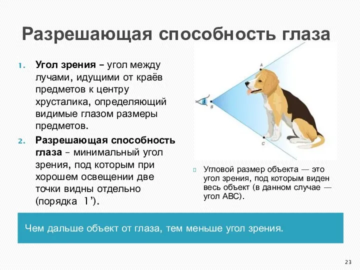 Разрешающая способность глаза Чем дальше объект от глаза, тем меньше угол