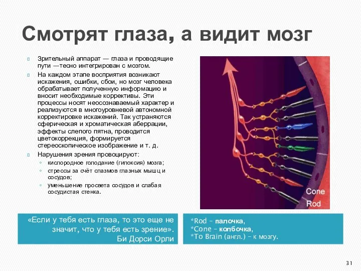 Смотрят глаза, а видит мозг «Если у тебя есть глаза, то