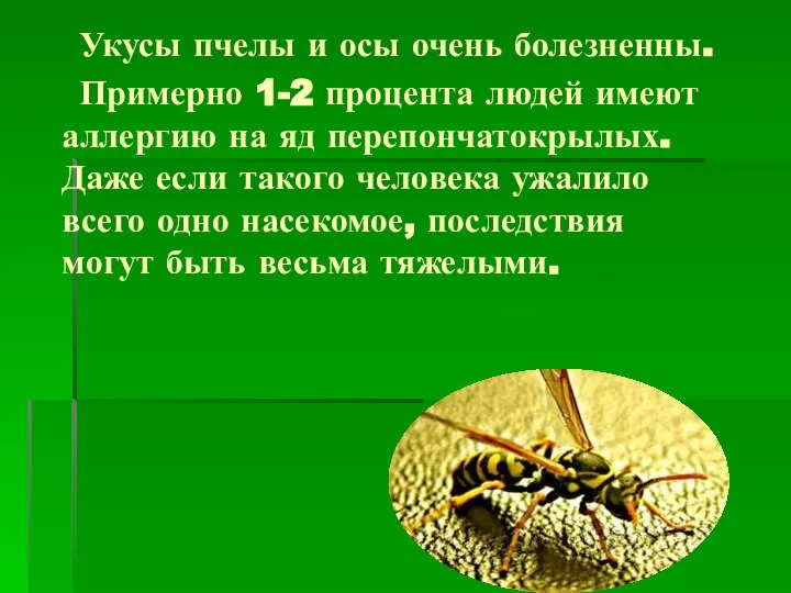 Укусы пчелы и осы очень болезненны. Примерно 1-2 процента людей имеют