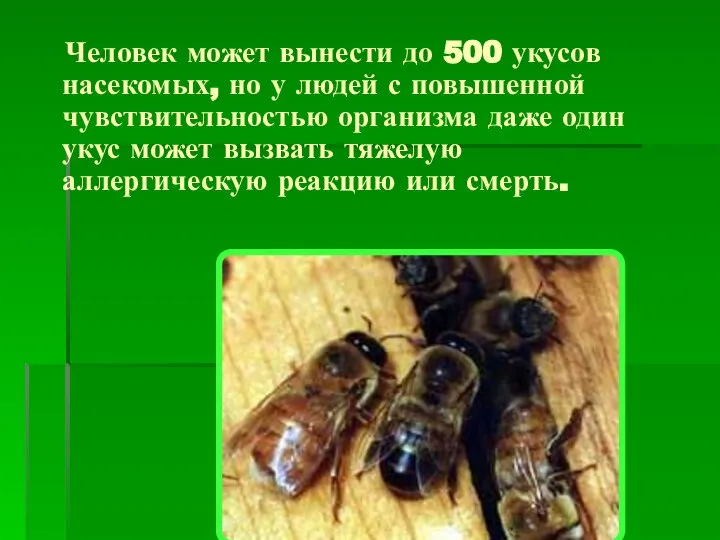 Человек может вынести до 500 укусов насекомых, но у людей с