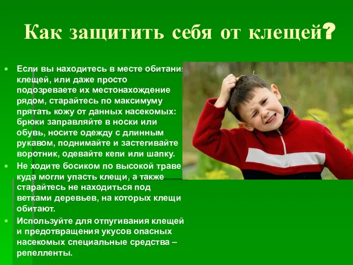 Как защитить себя от клещей? Если вы находитесь в месте обитания