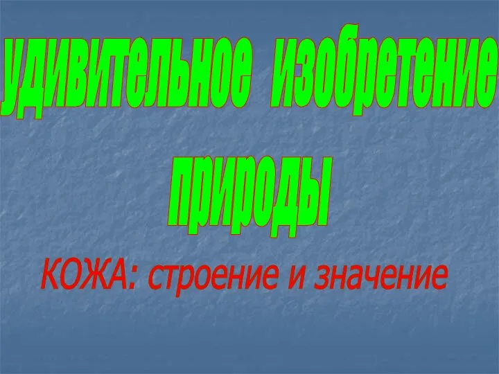 удивительное изобретение природы КОЖА: строение и значение