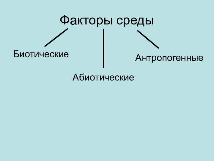 Факторы среды Биотические Абиотические Антропогенные