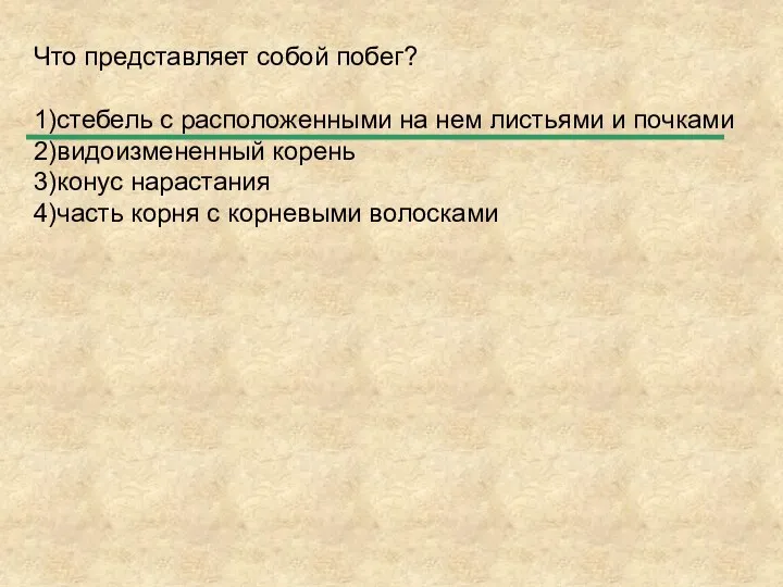 Что представляет собой побег? 1)стебель с расположенными на нем листьями и