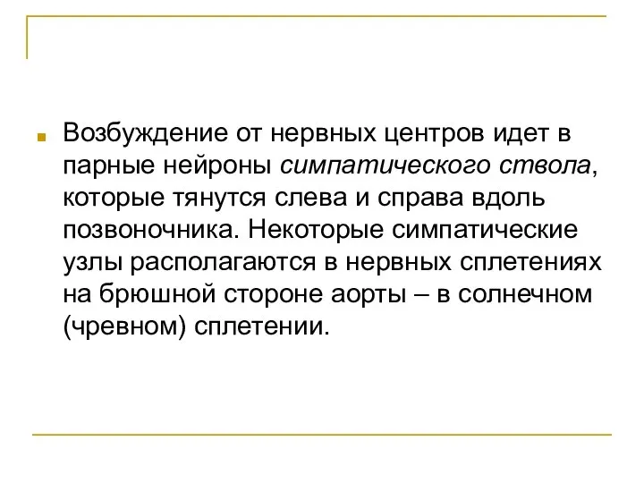 Возбуждение от нервных центров идет в парные нейроны симпатического ствола, которые