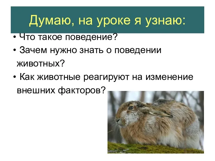 Думаю, на уроке я узнаю: Что такое поведение? Зачем нужно знать