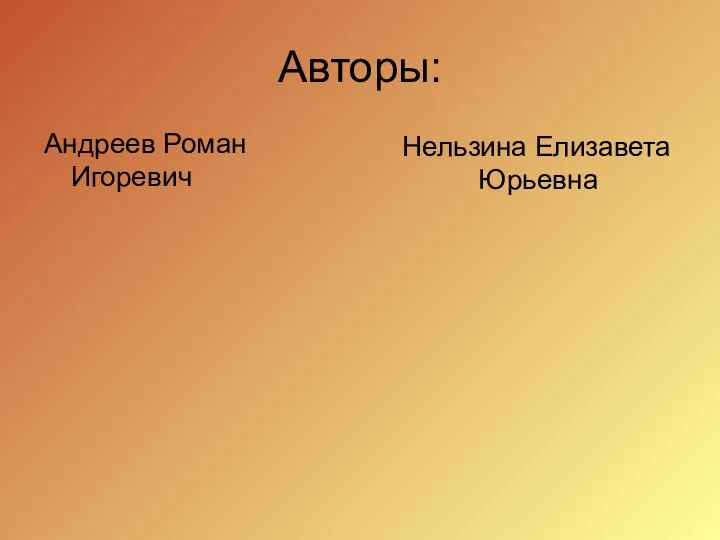 Авторы: Андреев Роман Игоревич Нельзина Елизавета Юрьевна