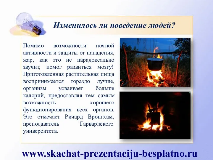 Изменилось ли поведение людей? Помимо возможности ночной активности и защиты от