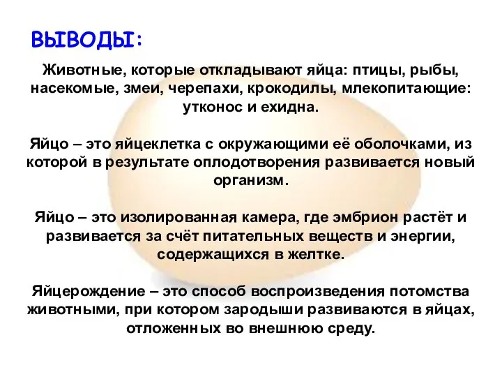 ВЫВОДЫ: Животные, которые откладывают яйца: птицы, рыбы, насекомые, змеи, черепахи, крокодилы,