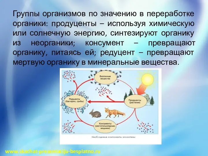 Группы организмов по значению в переработке органики: продуценты – используя химическую