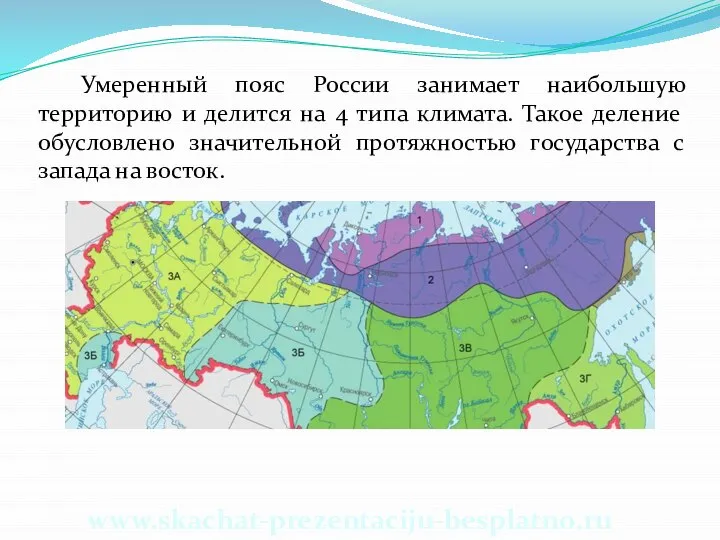 Умеренный пояс России занимает наибольшую территорию и делится на 4 типа