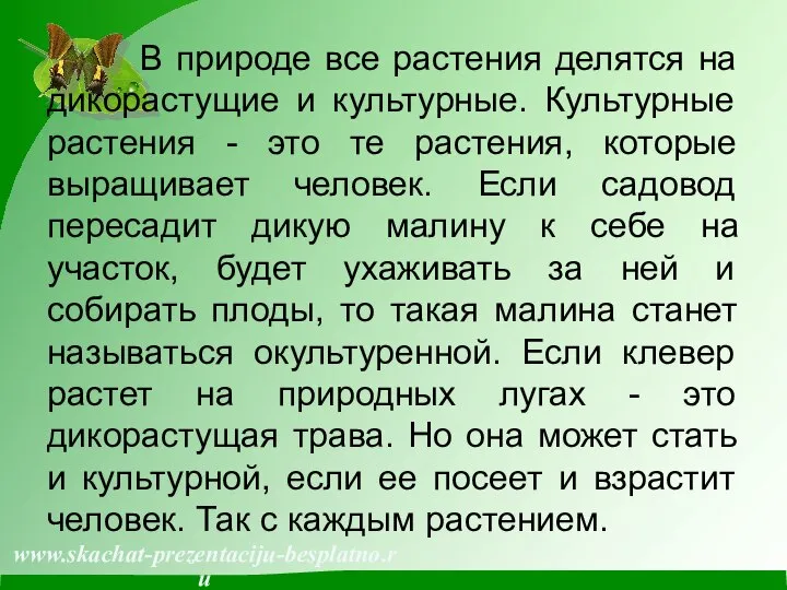 В природе все растения делятся на дикорастущие и культурные. Культурные растения