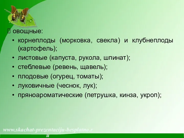 овощные: корнеплоды (морковка, свекла) и клубнеплоды (картофель); листовые (капуста, рукола, шпинат);