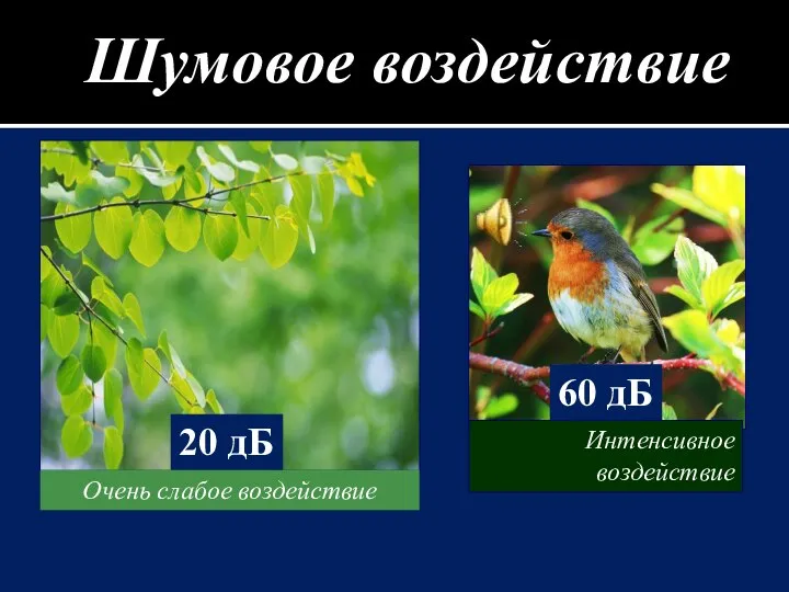 Интенсивное воздействие 60 дБ Очень слабое воздействие 20 дБ Шумовое воздействие