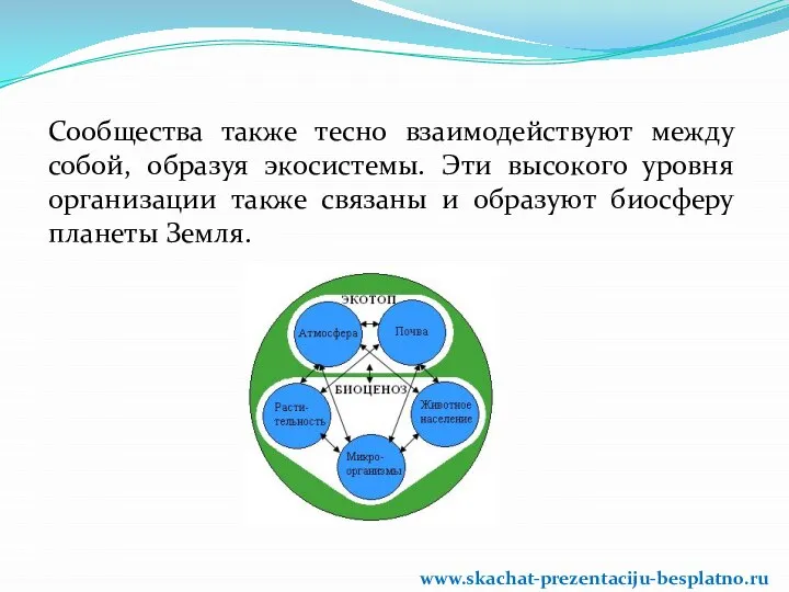 Сообщества также тесно взаимодействуют между собой, образуя экосистемы. Эти высокого уровня