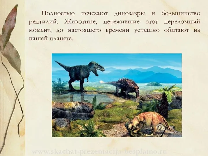 Полностью исчезают динозавры и большинство рептилий. Животные, пережившие этот переломный момент,