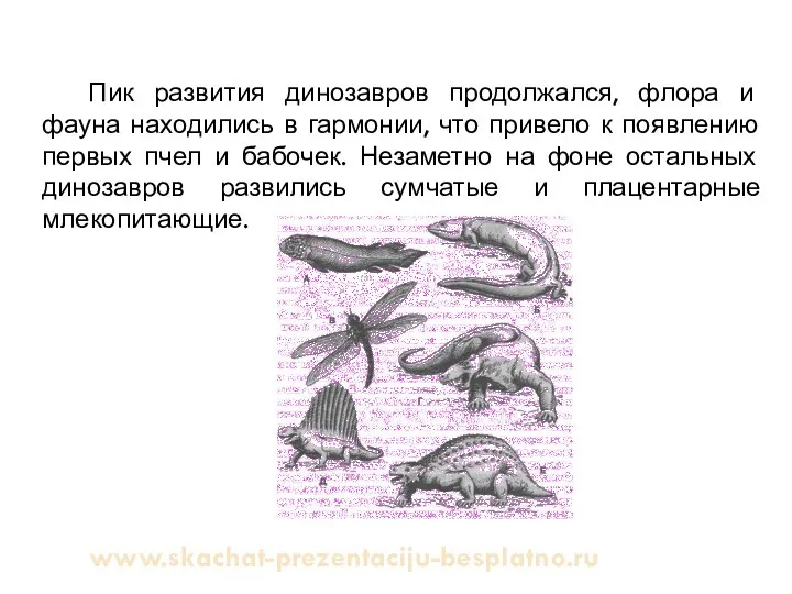 Пик развития динозавров продолжался, флора и фауна находились в гармонии, что