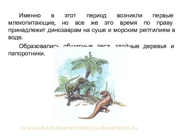 Именно в этот период возникли первые млекопитающие, но все же это