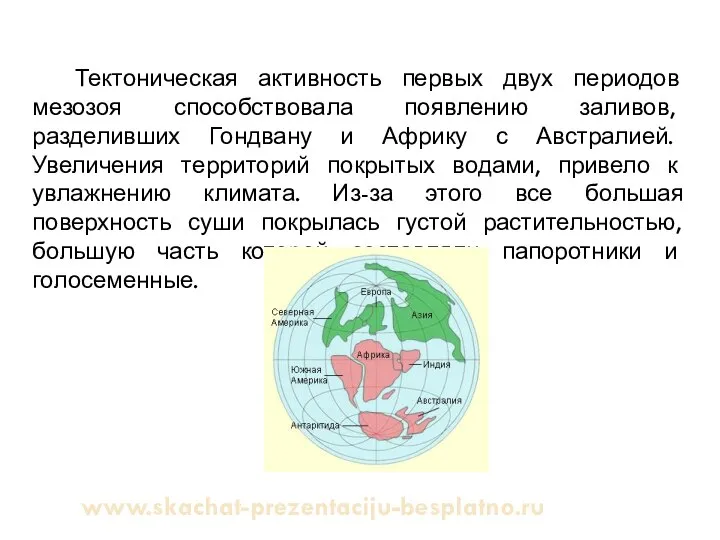 Тектоническая активность первых двух периодов мезозоя способствовала появлению заливов, разделивших Гондвану