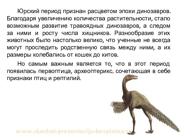 Юрский период признан расцветом эпохи динозавров. Благодаря увеличению количества растительности, стало