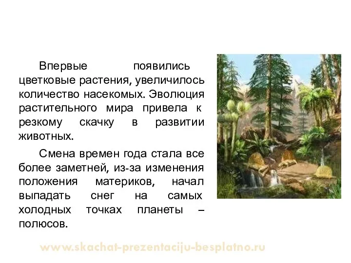 Впервые появились цветковые растения, увеличилось количество насекомых. Эволюция растительного мира привела