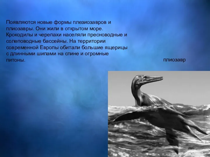 Появляются новые формы плезиозавров и плиозавры. Они жили в открытом море.