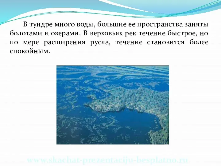 В тундре много воды, большие ее пространства заняты болотами и озерами.