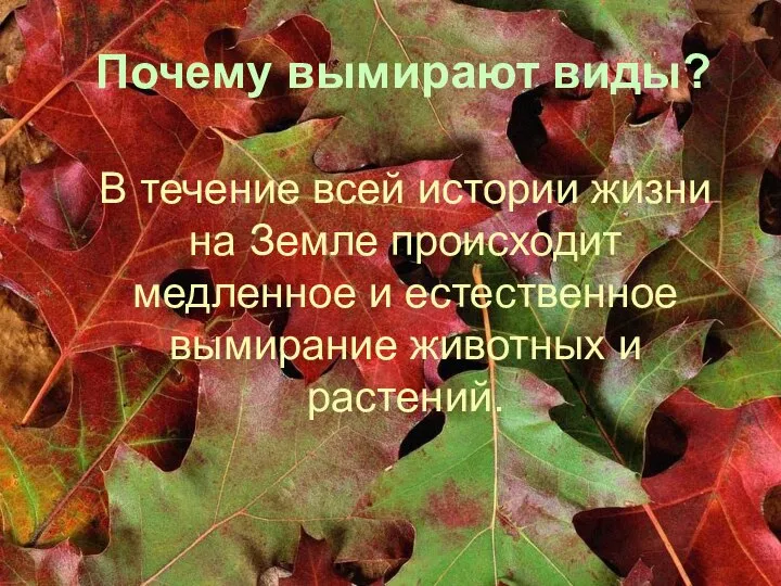 Почему вымирают виды? В течение всей истории жизни на Земле происходит