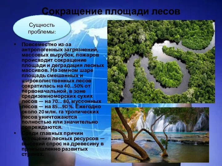 Сокращение площади лесов Повсеместно из-за антропогенных загрязнений, массовых вырубок, пожаров происходит