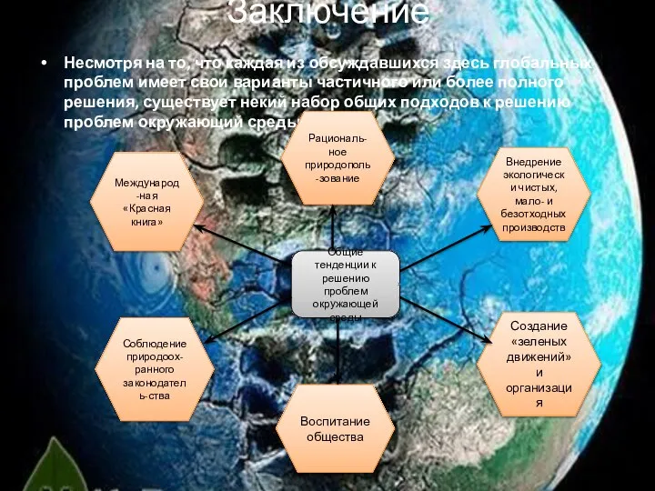 Заключение Несмотря на то, что каждая из обсуждавшихся здесь глобальных проблем