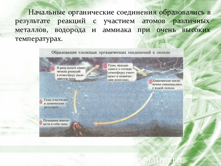 Начальные органические соединения образовались в результате реакций с участием атомов различных