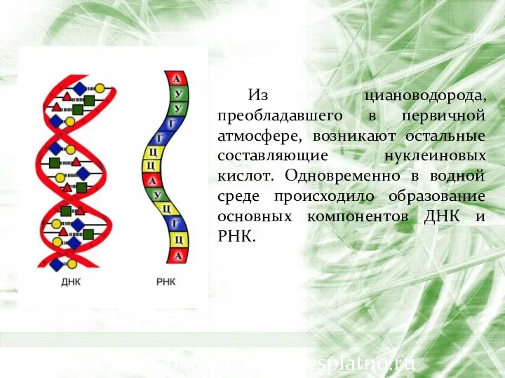 Из циановодорода, преобладавшего в первичной атмосфере, возникают остальные составляющие нуклеиновых кислот.