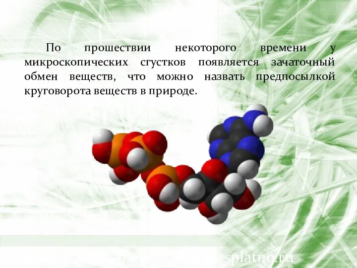 По прошествии некоторого времени у микроскопических сгустков появляется зачаточный обмен веществ,