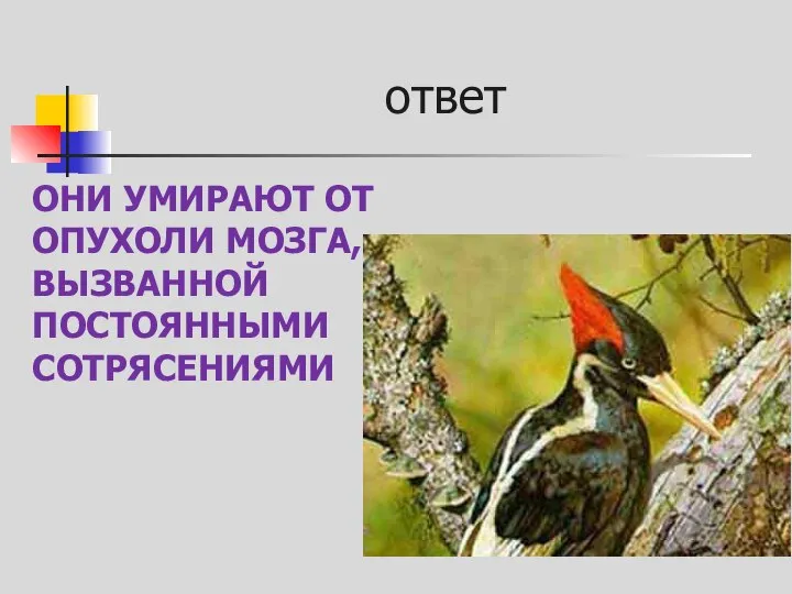 ответ ОНИ УМИРАЮТ ОТ ОПУХОЛИ МОЗГА, ВЫЗВАННОЙ ПОСТОЯННЫМИ СОТРЯСЕНИЯМИ