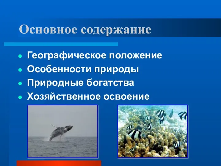 Основное содержание Географическое положение Особенности природы Природные богатства Хозяйственное освоение