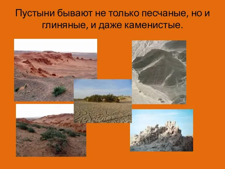 Пустыни бывают не только песчаные, но и глиняные, и даже каменистые.
