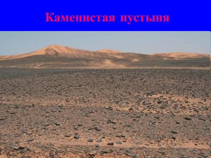 Каменистая пустыня