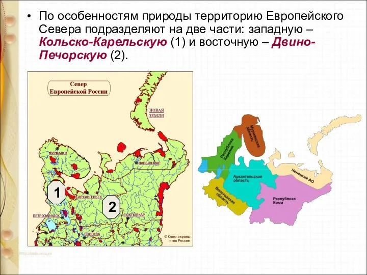 По особенностям природы территорию Европейского Севера подразделяют на две части: западную