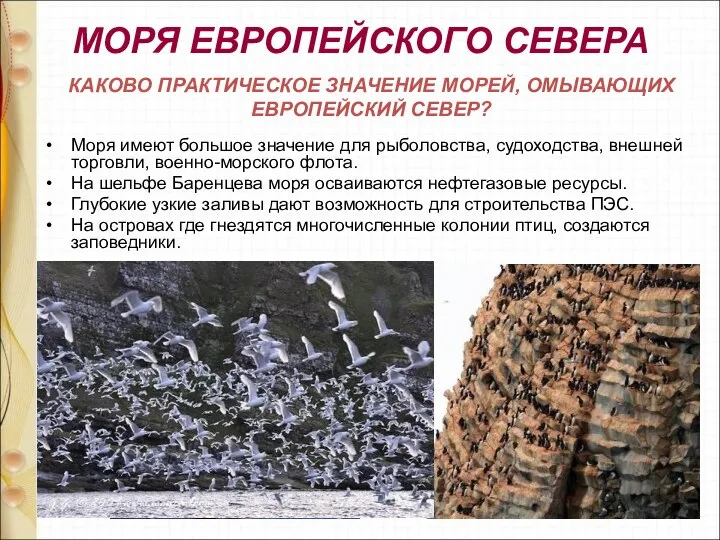 МОРЯ ЕВРОПЕЙСКОГО СЕВЕРА Моря имеют большое значение для рыболовства, судоходства, внешней