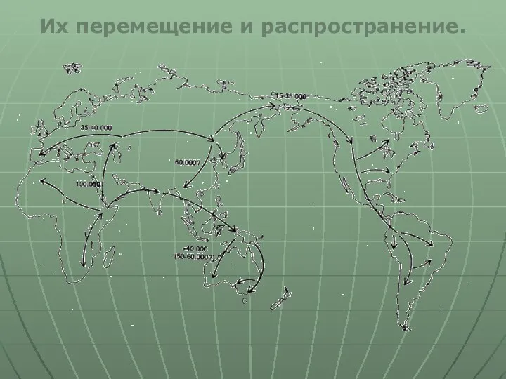 Их перемещение и распространение.