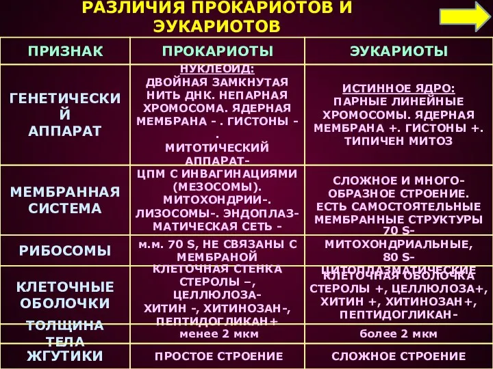 РАЗЛИЧИЯ ПРОКАРИОТОВ И ЭУКАРИОТОВ ПРИЗНАК ГЕНЕТИЧЕСКИЙ АППАРАТ МЕМБРАННАЯ СИСТЕМА РИБОСОМЫ КЛЕТОЧНЫЕ