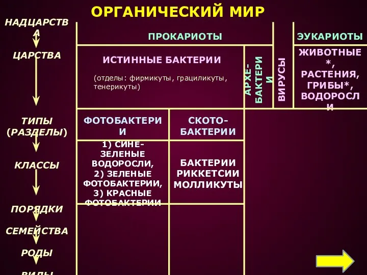 НАДЦАРСТВА ЦАРСТВА ТИПЫ (РАЗДЕЛЫ) КЛАССЫ ПОРЯДКИ СЕМЕЙСТВА РОДЫ ВИДЫ ОРГАНИЧЕСКИЙ МИР