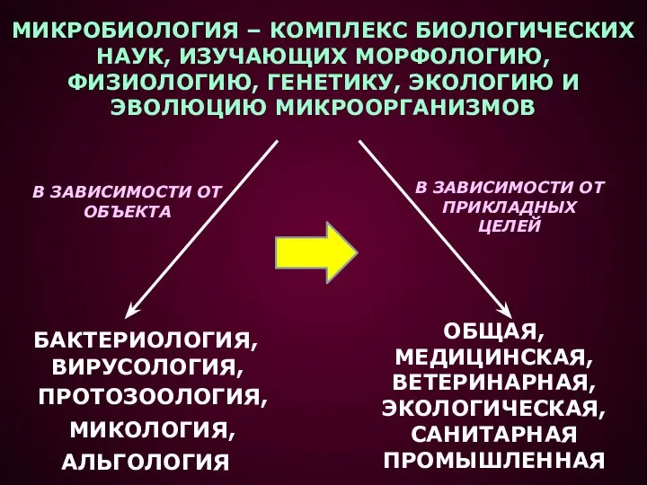 МИКРОБИОЛОГИЯ – КОМПЛЕКС БИОЛОГИЧЕСКИХ НАУК, ИЗУЧАЮЩИХ МОРФОЛОГИЮ, ФИЗИОЛОГИЮ, ГЕНЕТИКУ, ЭКОЛОГИЮ И