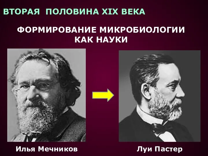 ВТОРАЯ ПОЛОВИНА XIX ВЕКА ФОРМИРОВАНИЕ МИКРОБИОЛОГИИ КАК НАУКИ Илья Мечников Луи Пастер