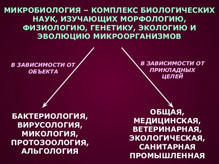 МИКРОБИОЛОГИЯ – КОМПЛЕКС БИОЛОГИЧЕСКИХ НАУК, ИЗУЧАЮЩИХ МОРФОЛОГИЮ, ФИЗИОЛОГИЮ, ГЕНЕТИКУ, ЭКОЛОГИЮ И