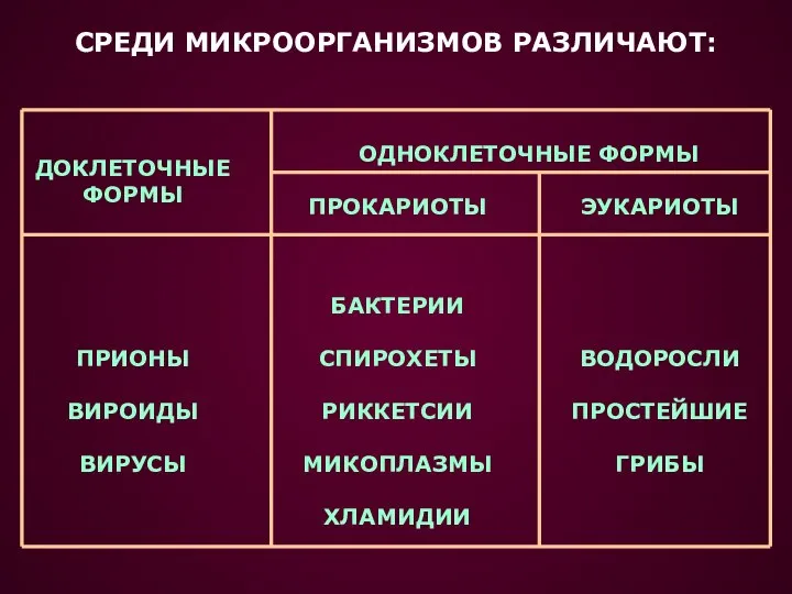 СРЕДИ МИКРООРГАНИЗМОВ РАЗЛИЧАЮТ: ДОКЛЕТОЧНЫЕ ФОРМЫ ПРОКАРИОТЫ ЭУКАРИОТЫ ОДНОКЛЕТОЧНЫЕ ФОРМЫ ПРИОНЫ ВИРОИДЫ