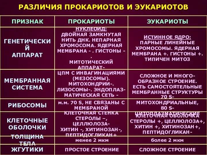 РАЗЛИЧИЯ ПРОКАРИОТОВ И ЭУКАРИОТОВ ПРИЗНАК ГЕНЕТИЧЕСКИЙ АППАРАТ МЕМБРАННАЯ СИСТЕМА РИБОСОМЫ КЛЕТОЧНЫЕ