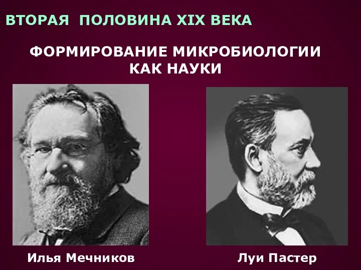 ВТОРАЯ ПОЛОВИНА XIX ВЕКА ФОРМИРОВАНИЕ МИКРОБИОЛОГИИ КАК НАУКИ Илья Мечников Луи Пастер